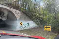 EI-2025-Fall-Color-Cruise-055