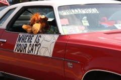 EI-2025-POP-Car-Show-0315