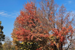 EI-2026-Fall-Cruise-030